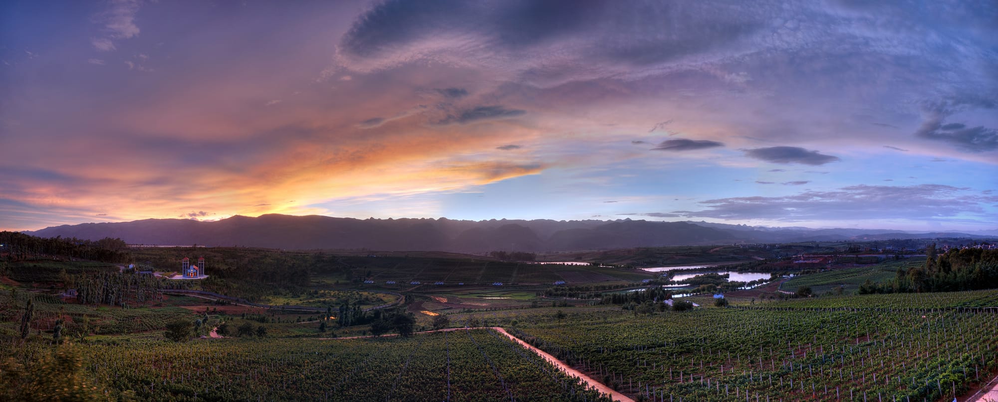 Chinese Wines & Wineries